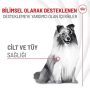 Royal Canin Deri ve Tüy Sağlığı Destekleyici Yetişkin Köpek Ödül Maması 240gr - Görsel 2